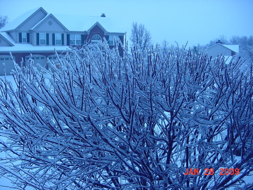 Picture 008a.jpg