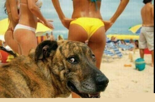 securedownload.jpg