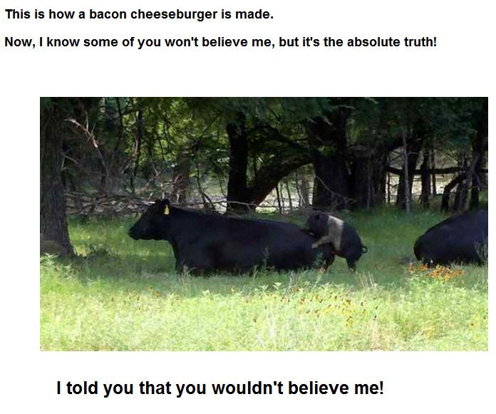 Bacnbrgr.JPG