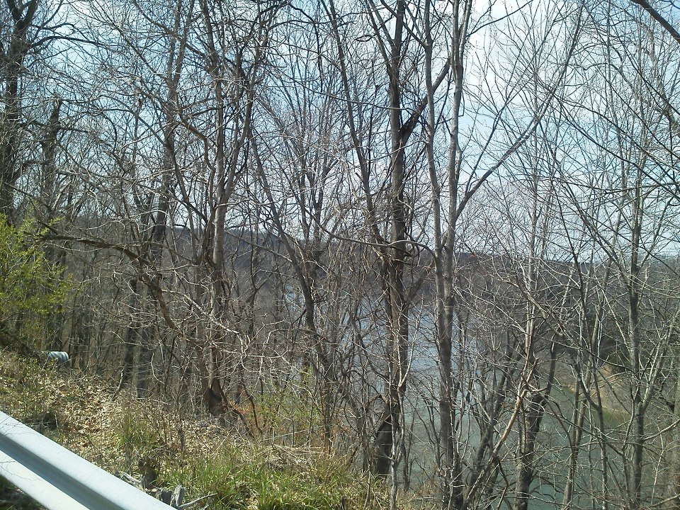 White Oak Creek 4-7-2013.jpg