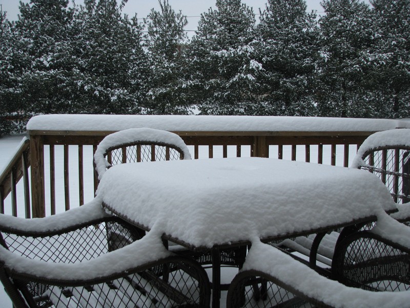 Snow 013010-01.jpg